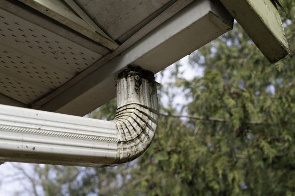 Roof Drain Replacement in Mount Holly