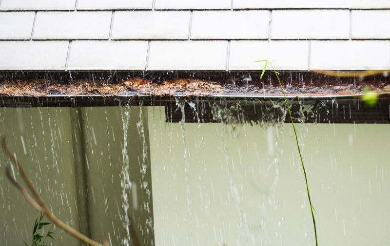 Gutter Cleaning Service